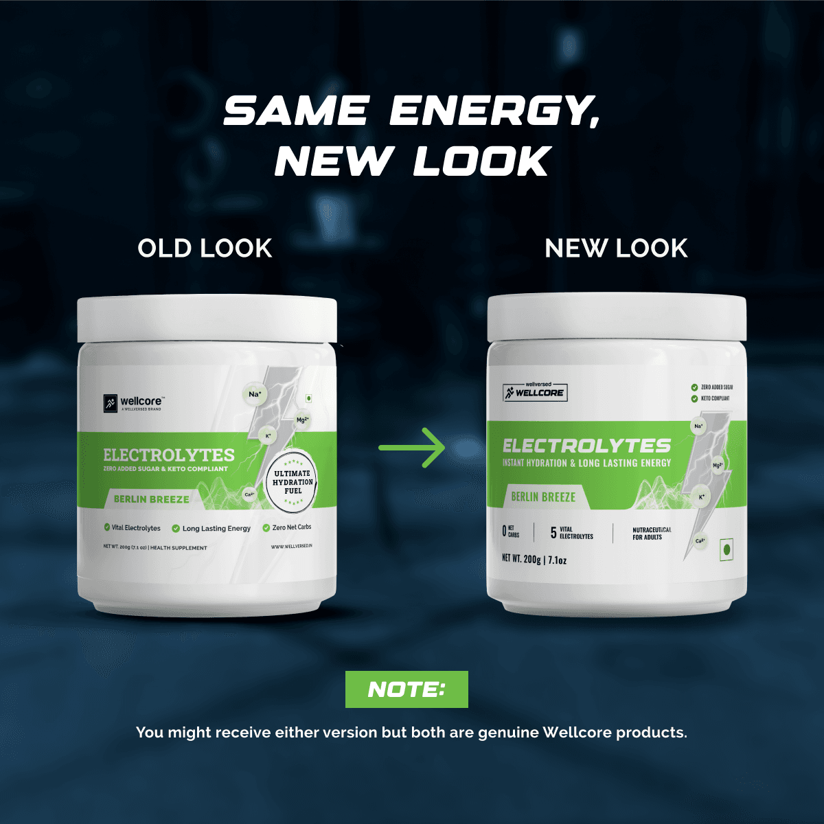 Wellcore - Electrolytes (2X200g, 80 servings)