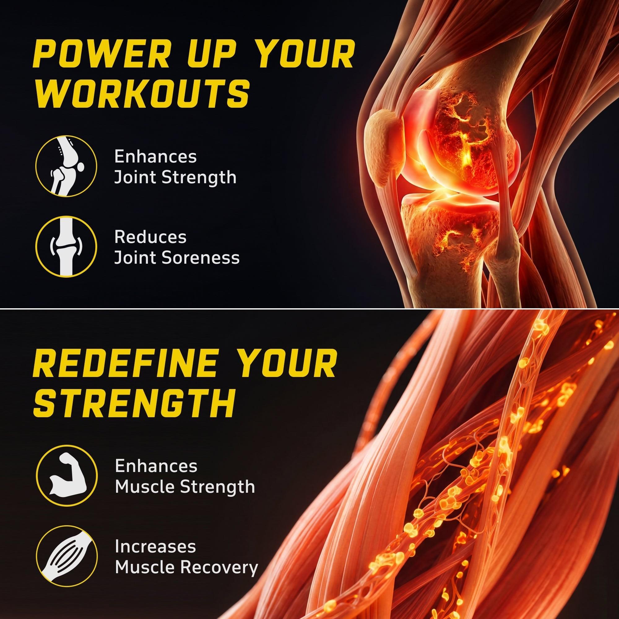 YouWeFit Omega-3 Alpha Recovery Capsules